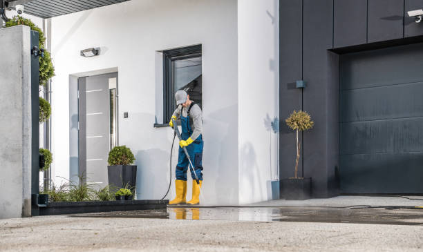 Best Solar Panel Cleaning  in North Cape May, NJ